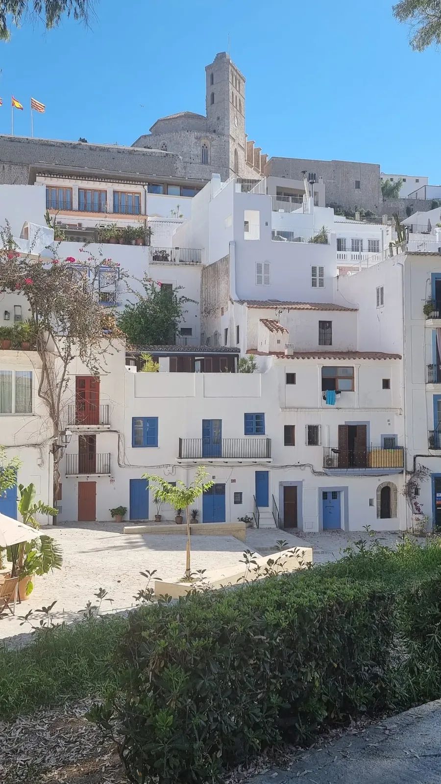 View of whitewashed houses and the cathedral of Dalt Vila, Ibiza